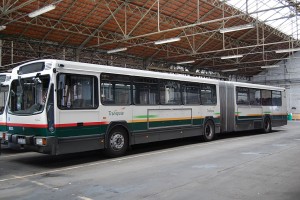 Photo 08.jpg