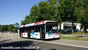 Photo 16.JPG