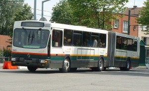 Photo 26.jpg